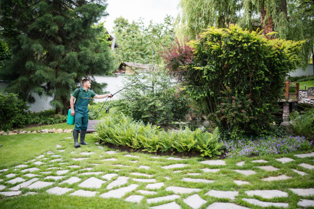 Best Wasp Removal Services  in Edinboro, PA