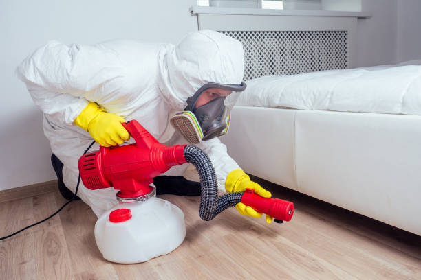 Trusted Edinboro, PA Pest Control Experts