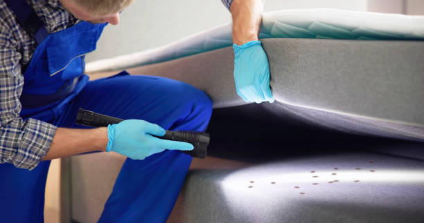 Best Flea Control Services  in Edinboro, PA