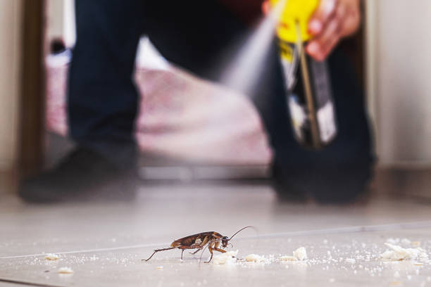 Best Best Pest Control Companies  in Edinboro, PA