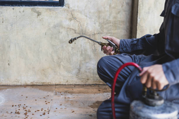 Best Affordable Pest Control Services  in Edinboro, PA